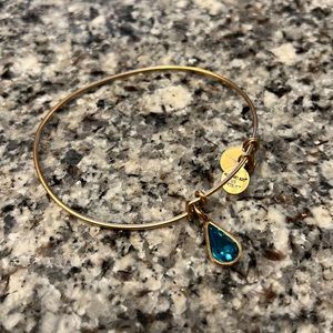 Alex and ani December birthstone turquoise bangle